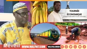 Tournée économique de Diomaye, relance du chemin de fer, filière banane, or de Kédougou : jangat S.O