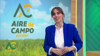 Everything Is Connected: Sunflower, Corn, and Pork Production - Aire De Campo Express