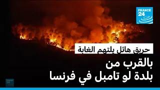 فرنسا: حريق هائل يلتهم الغابات قرب بلدة لو تامبل... وارتفاع الحرارة يعقّد جهود الإطفاء