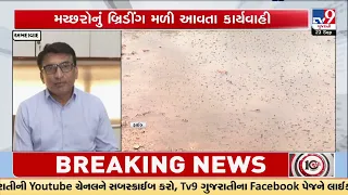Ahmedabad Mosquito Alert! Breeding Found at 222 Locations, Big Action by AMC | TV9Gujarati