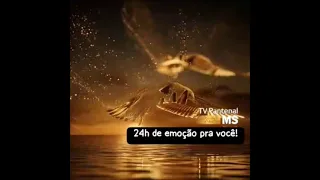 VINHETA 15 ANO 2026