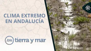 Tierra y mar | El campo andaluz, al límite por los extremos climáticos