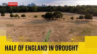 BREAKING: Half of England in drought, Environment Agency says
