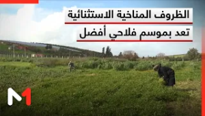 الظروف المناخية الاستثنائية تبشر بموسم فلاحي أفضل