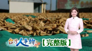 五代新港飴獨門手藝 百年糖果月產四千斤/賣房產創麥芽餅翻身 市占九成年收上億元/老廠創新手工麻花捲 年賣30萬斤拚外銷/遵循傳統曬蘿蔔乾 菜脯餅年賣三千萬【台灣人事物】2026.02.28✦完整版✦