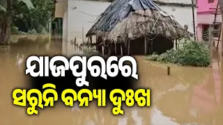 ଯାଜପୁରରେ ସରୁନି ବନ୍ୟା ଦୁଃଖ | Kalinga TV