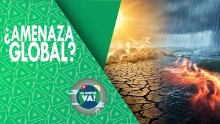 What is the El Niño Phenomenon? Origin | Planeta Ya