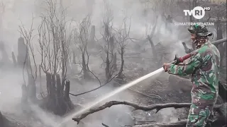 BASO PELEMBANG NEWS - LAND FIRE APPROACHES RESIDENTIAL AREA