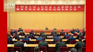 Xi Jinping asiste a reunión de delegación militar en sesión legislativa anual