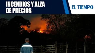 Forest fires threaten harvests and market prices | EL TIEMPO