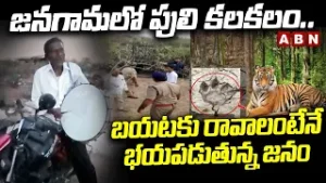 జనగామలో పులి కలకలం.. బయటకు రావాలంటేనే భయపడుతున్న జనం | Tiger in Jangaon district | ABN Telugu