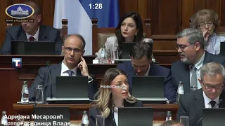 Izjava Mesarović , skupština