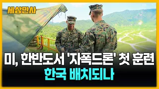 미, 한반도서 '자폭드론' 첫 훈련…한국 배치되나 [세상만사] #자폭드론 #미국 #한반도 #네로스아처