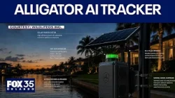 How can we detect alligators with AI?