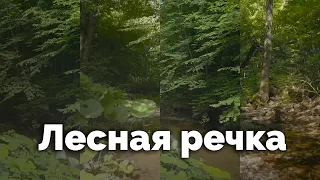 Лесная речка | С любовью к русской природе