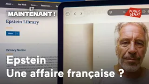 Epstein : une affaire française ?