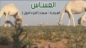 برنامج العساس | العـرمة - سِعــد 23-4-1435هـ ( الجزء الأول )