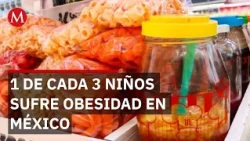 Junk food ban in schools: Why isn't the regulation stopping childhood obesity?