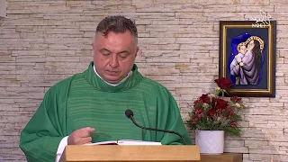 Homilie ze mše svaté 18.9.2026, P. Norbert Hnátek OT