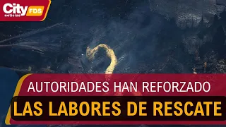 Wildfires in Tolima threaten wildlife: 37 animals rescued | CityTv