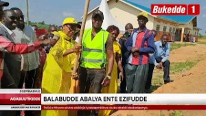 Agabuutikidde: Obulwadde bwa Anthrax butadde abakulembeze ku bunkeenke  Balabudde abalya ente ezifu