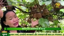 अरुणाचल प्रदेश: कीवी से खुशहाली की नई उड़ान | Kiwi | Arunachal Pradesh | DD Kisan