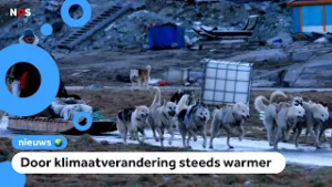 Sledehondenrenners in de problemen: 'Er ligt te weinig sneeuw'