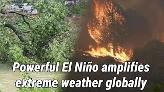 Powerful El Niño amplifies extreme weather globally