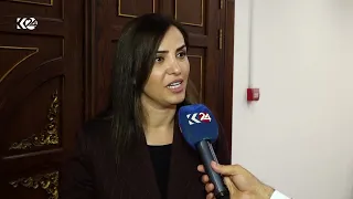 عەلی زەیدی سورە لەسەر ئەوەی چەک تەنیا لە دەستی دەوڵەت بێت