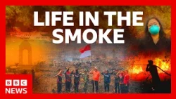 Indonesia pursues criminal charges against corporations responsible for wildfires | BBC News
