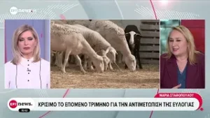 Μείωση των κρουσμάτων ευλογιάς το τελευταίο διάστημα