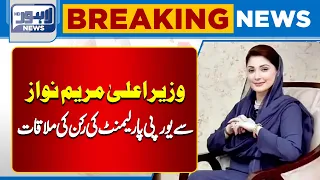 CM Punjab Meets European Parliament Member Mary Fatima Khan Holch | Key Meeting | Breaking News
