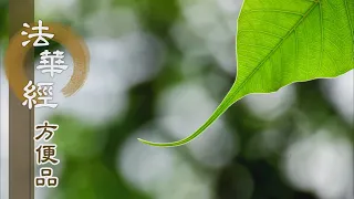 【靜思妙蓮華】法華經方便品第二 - 信受持戒 入智慧門 - 第190集｜共修版