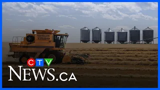 Diesel prices soar, raising the alarm for farmers as harvest approaches