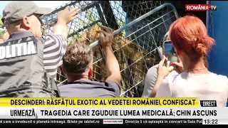 Police raid at Dani Mocanu's exotic pet collection
