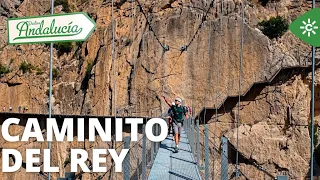 Destination Andalusia | Spain's longest Tibetan bridge: 110 meters of pure adrenaline
