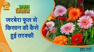 Successful Farmer: How Gerbera Flowers Led to a Farmer's Success | DD Kisan | 07/30/2026