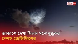আকাশে দেখা মিলল মনোমুগ্ধকর স্পেস জেলিফিশের | Bijoy TV