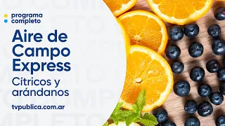 SENASA: Citrus and Blueberry Exports and Avian Influenza Assessment - Aire De Campo Express