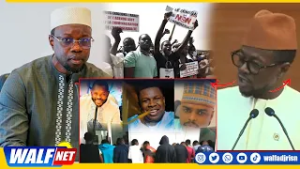 Dossier homosexuel: Abdou Mbow met Sonko face à ses promesses"criminalisation mome ngén campagné"