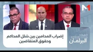 #حديث_البرلمان .. إضراب المحامين بين شلل المحاكم وحقوق المتقاضين