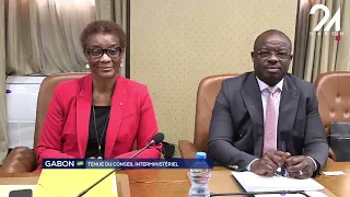 GABON POLITICS: INTERMINISTERIAL COUNCIL HELD