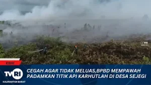 3  FEBRUARI 2026 CEGAH AGAR TIDAK MELUAS,BPBD MEMPAWAH PADAMKAN TITIK API KARHUTLAH DI DESA SEJEGI