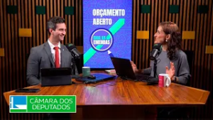 Consultor legislativo detalha fases de indicação de emenda ao orçamento - 02/03/26 #economiadireta