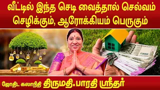 வீட்டில் இந்த செடி வைத்தால் செல்வம் செழித்து ஆரோக்கியம் பெருகும் | Bharathi Sridhar |