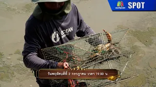 Panya 5 Star | EP.340 | Jul 2, '26 | SPOT