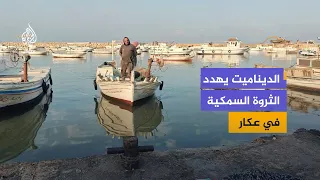 Akkar fishermen warn against dynamite and waste... Dangers threatening fish stocks