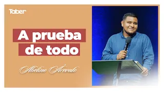 Tried and Tested | Abelino Arévalo