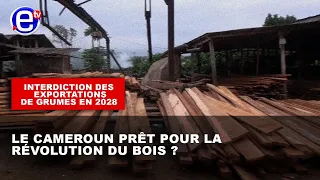 "INTERDICTION DES EXPORTATIONS DE GRUMES EN 2028 : LE CAMEROUN PRÊT POUR LA RÉVOLUTION DU BOIS ?"