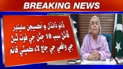 Oxygen Cylinder Fatan Sabab 10 Manhun Ji Faut Thiyan Wari Waqe Ji Jaach Lae Committee Qaim